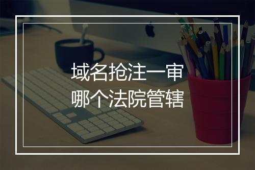 域名抢注一审哪个法院管辖
