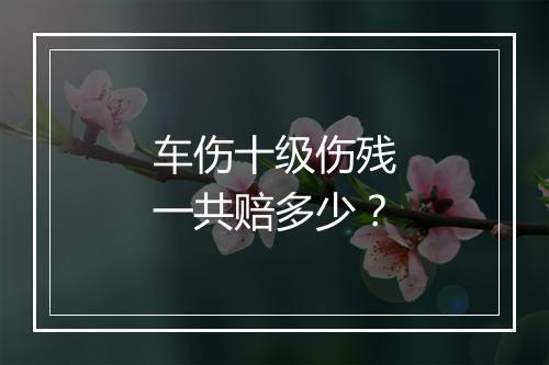 车伤十级伤残一共赔多少?