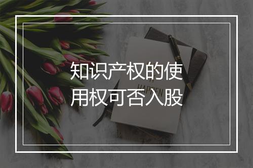 知识产权的使用权可否入股