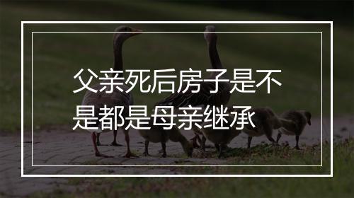 父亲死后房子是不是都是母亲继承