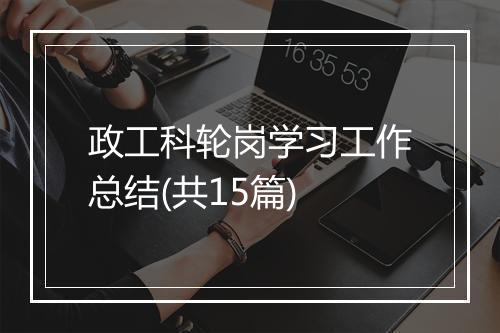 政工科轮岗学习工作总结(共15篇)