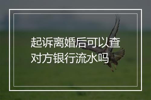 起诉离婚后可以查对方银行流水吗