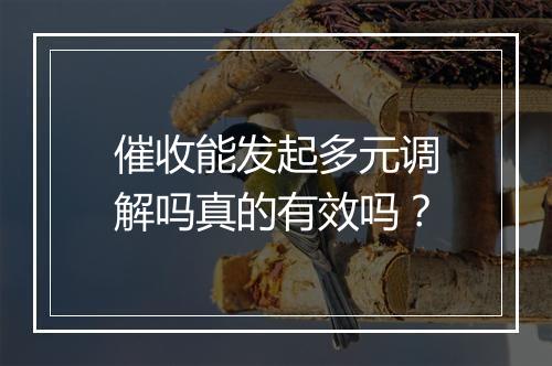 催收能发起多元调解吗真的有效吗?