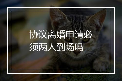协议离婚申请必须两人到场吗