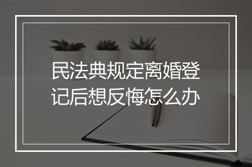 民法典规定离婚登记后想反悔怎么办