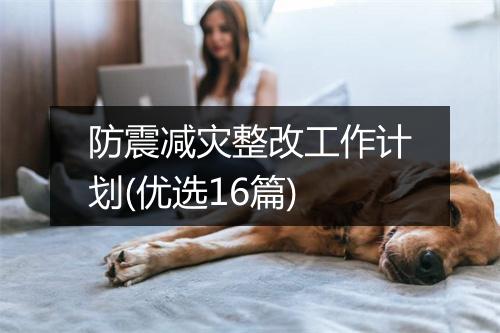防震减灾整改工作计划(优选16篇)