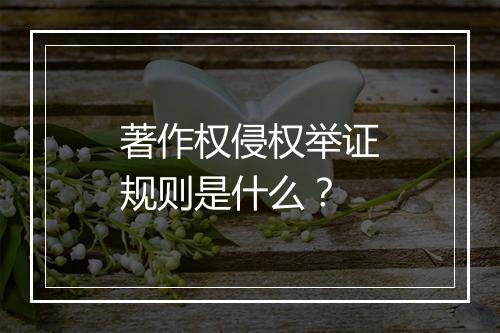 著作权侵权举证规则是什么?