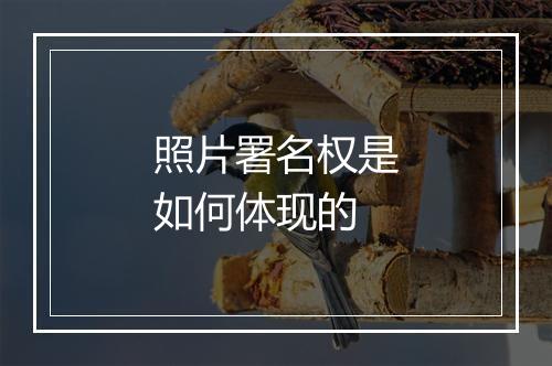照片署名权是如何体现的