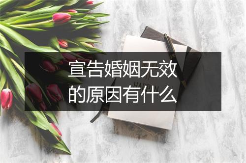 宣告婚姻无效的原因有什么