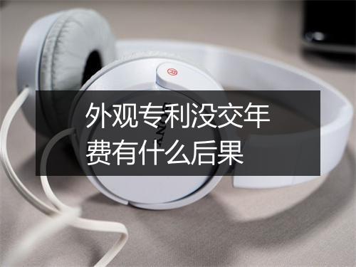 外观专利没交年费有什么后果