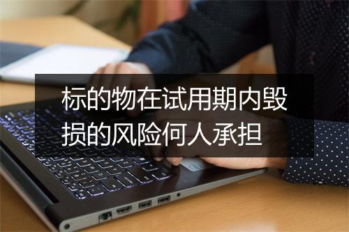 标的物在试用期内毁损的风险何人承担
