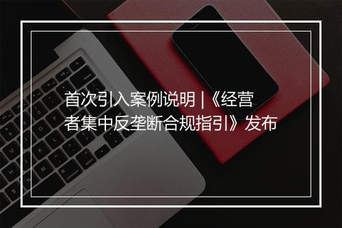 首次引入案例说明 |《经营者集中反垄断合规指引》发布