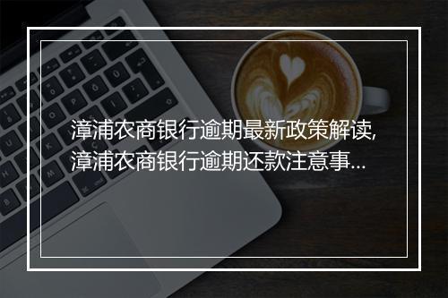 漳浦农商银行逾期最新政策解读,漳浦农商银行逾期还款注意事项