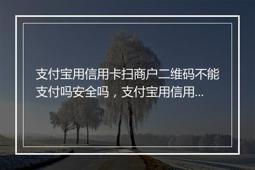 支付宝用信用卡扫商户二维码不能支付吗安全吗,支付宝用信用卡扫商户二维码不能支付吗