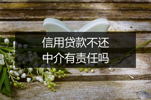 信用贷款不还中介有责任吗