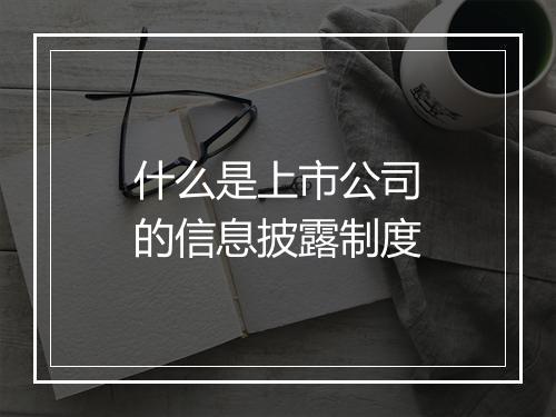 什么是上市公司的信息披露制度