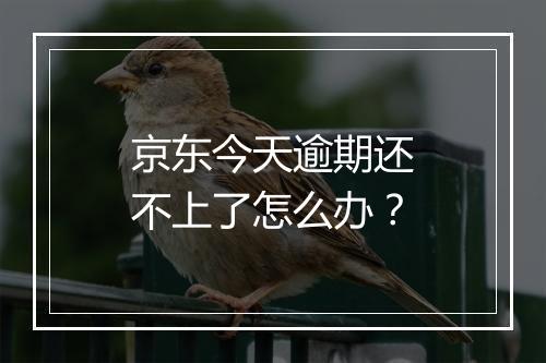京东今天逾期还不上了怎么办?