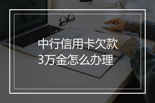 中行信用卡欠款3万金怎么办理