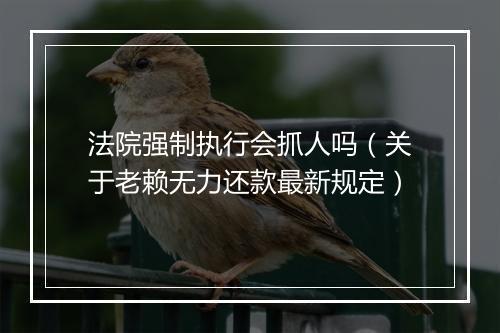 法院强制执行会抓人吗(关于老赖无力还款最新规定)