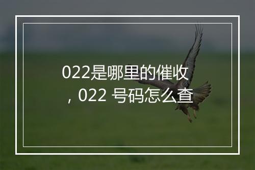 022是哪里的催收 ,022 号码怎么查