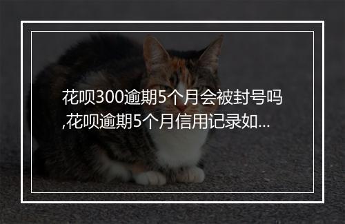 花呗300逾期5个月会被封号吗,花呗逾期5个月信用记录如何恢复