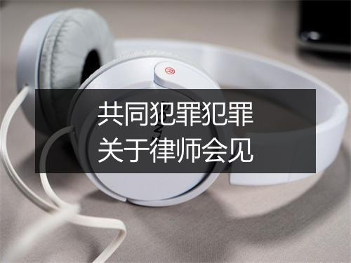 共同犯罪犯罪关于律师会见