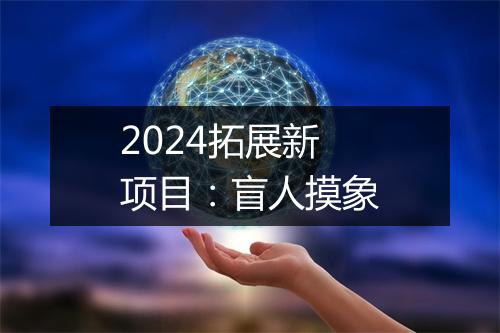 2024拓展新项目:盲人摸象