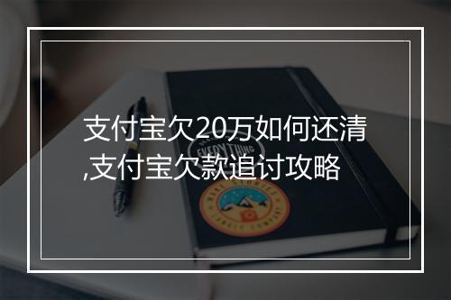 支付宝欠20万如何还清,支付宝欠款追讨攻略