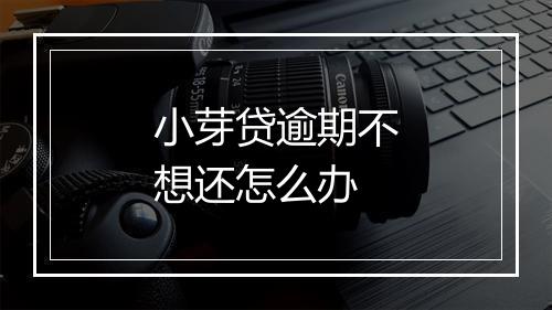 小芽贷逾期不想还怎么办