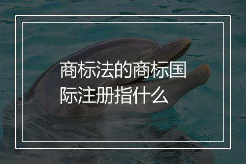商标法的商标国际注册指什么