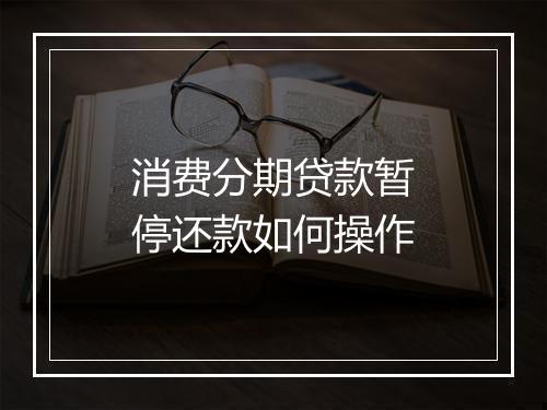 消费分期贷款暂停还款如何操作