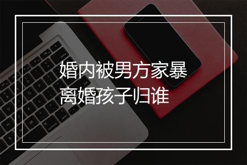 婚内被男方家暴离婚孩子归谁