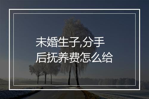 未婚生子,分手后抚养费怎么给