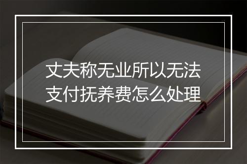 丈夫称无业所以无法支付抚养费怎么处理