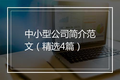 中小型公司简介范文(精选4篇)