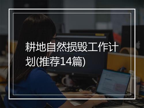 耕地自然损毁工作计划(推荐14篇)