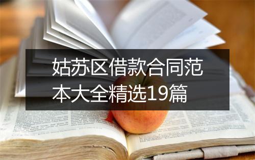 姑苏区借款合同范本大全精选19篇
