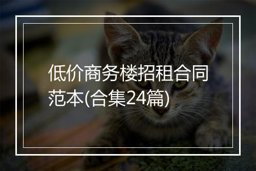 低价商务楼招租合同范本(合集24篇)