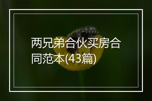 两兄弟合伙买房合同范本(43篇)