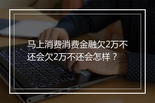 马上消费消费金融欠2万不还会欠2万不还会怎样?