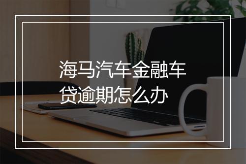 海马汽车金融车贷逾期怎么办