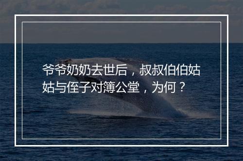 爷爷奶奶去世后,叔叔伯伯姑姑与侄子对簿公堂,为何?