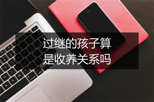 过继的孩子算是收养关系吗