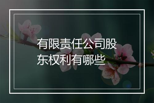 有限责任公司股东权利有哪些