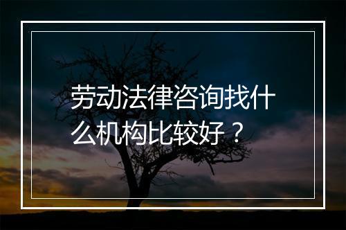 劳动法律咨询找什么机构比较好?