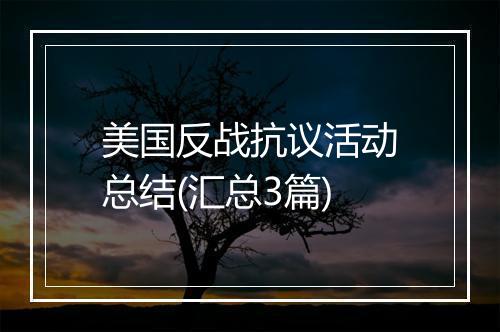 美国反战抗议活动总结(汇总3篇)