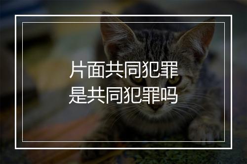 片面共同犯罪是共同犯罪吗