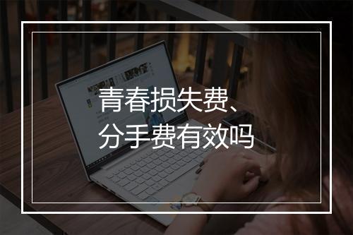 青春损失费、分手费有效吗
