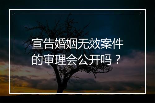 宣告婚姻无效案件的审理会公开吗?