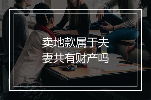 卖地款属于夫妻共有财产吗